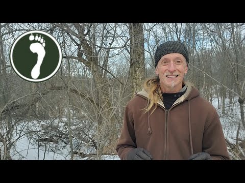 More in depth about Amygdala vs Prefrontal Cortex (reactive mind vs response-based mind)