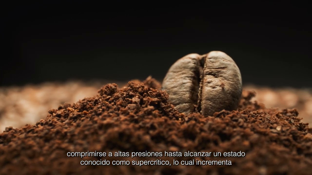 Watch ¿Cómo se elimina la cafeína del grano de café Now ¿Cómo se elimina la cafeína del grano de café