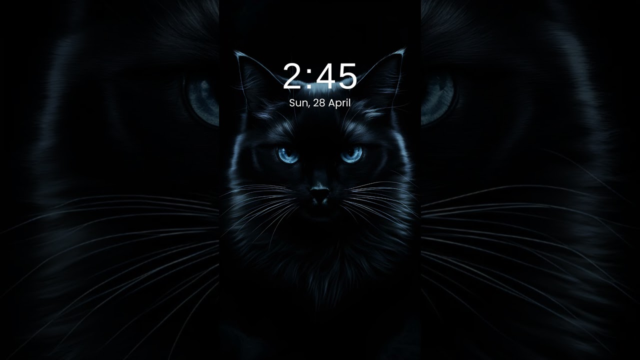 12 Premium Black & Dark Wallpapers for Phone 4K, HD | Wallpaper World