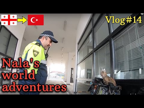 Nala cat's world adventures 🇬🇪➡️🇹🇷 VLOG#14