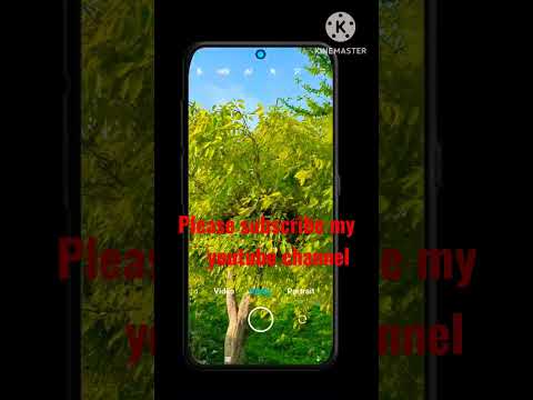 how to set timer on camera ###@@technical gfm