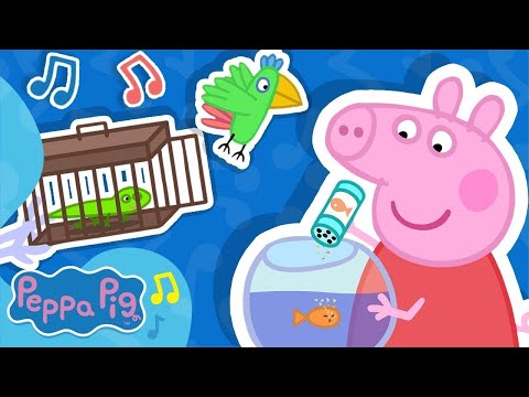 Taking Our Pets To The Vets Song 🐛 Nursery Rhymes and Kids Songs