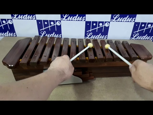Vídeo relacionado con A-Star Wooden 8 Note Xilófono Soprano Diatónico con dos batidores de madera - C6 a C7