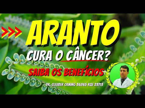 🌿 Does Aranto Cure Cancer? Learn the Benefits of this Medicinal Plant. #medicinalplants
