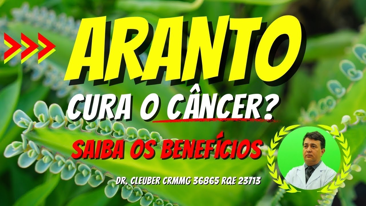 🌿 Aranto Cura Câncer?  Saiba os Benefícios desta Planta Medicinal. #plantasmedicinais