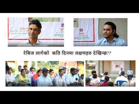 कुकुरले चाट्दा रेबिज रोग लाग्छ कि लाग्दैन??
