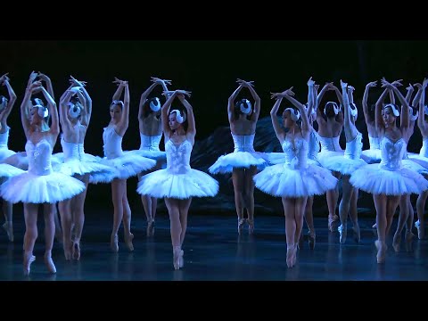 Swan Lake《天鵝湖》