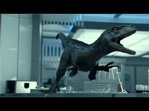 4 Years After The Destruction Of Isla Nublar, Dr Ellie Investigates A Swarm Of Giant Insects