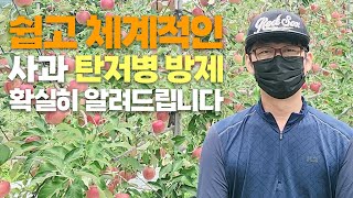 사과 탄저병 피해! 체계처리로 충분히 예방 가능합니다