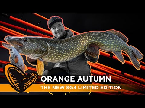Orange Autumn and BIG Pike - with the new SG4 limited edition Orange rods #pike #savageworld