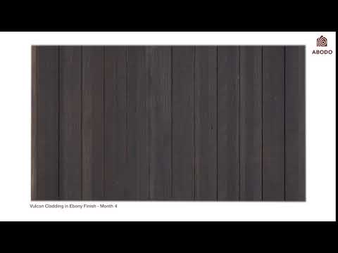 Vulcan Cladding in Protector - Ebony / Watch Me Weather