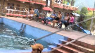 preview picture of video 'Man saved from drowning in pool, at Bhagsu Mcleodganj'