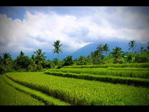 Pepeling - Tati Saleh