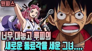 [원피스]너무 대놓고 루피의 10번째 동료라서 할말은 없지만 떠들어보겠습니다.