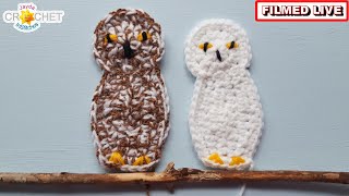 Owl Applique 🦉 - Jayda LIVE Crochet Tutorial - October 01, 2025