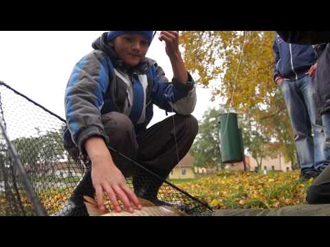 Little carp maraton 2