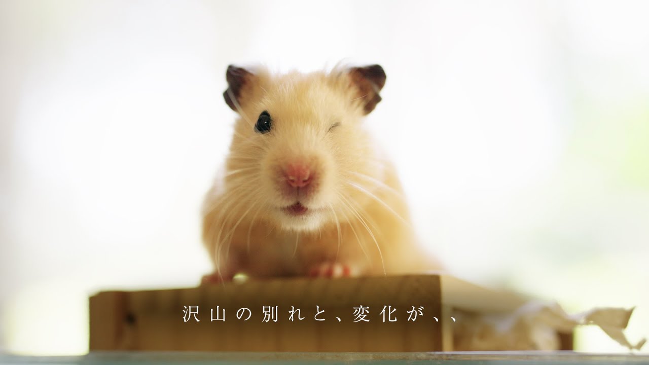 沢山の別れと、変化がありました。