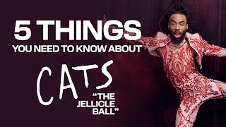5 Things to Know about CATS: &quot;The Jellicle Ball&quot; | PAC NYC