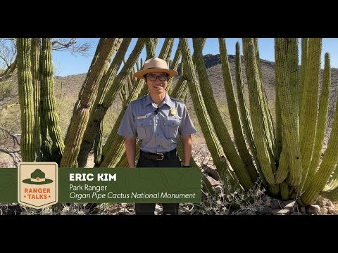 Ranger Talks - Organ Pipe Cactus National Monument