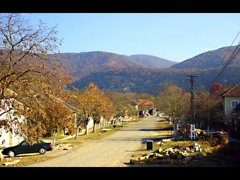 Drumetie la Gurahont