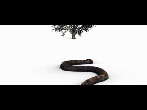 Suasion - Heritage (Official Music Video)