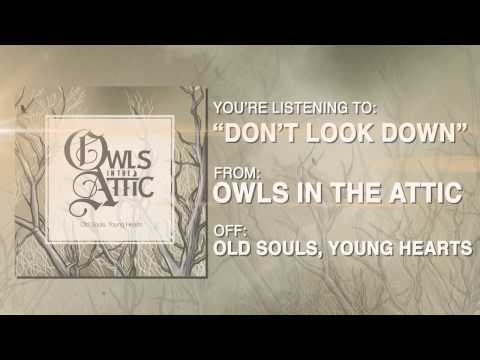 Owls in the Attic - Don't Look Down