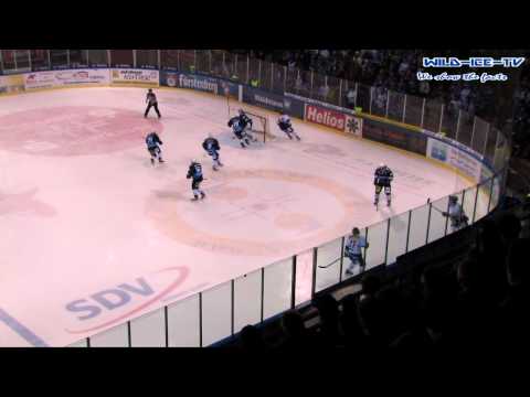 SERC 04 Wild Wings vs. Heilbronner Falken 20.01.2012