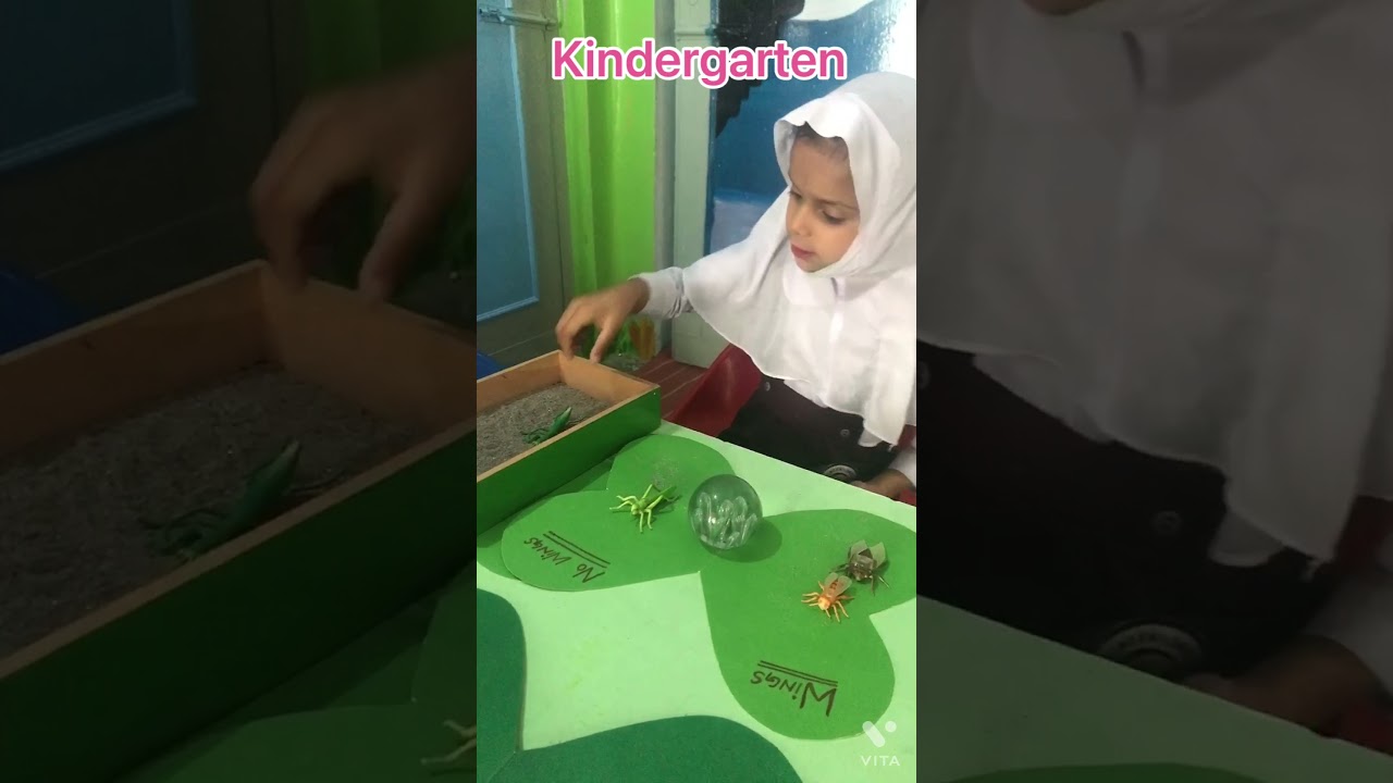 Insects sorting activity