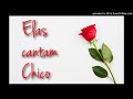 Beth Carvalho - Samba Do Grande Amor