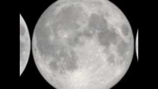 The Legendary Pink Dots - Triple Moon Salute