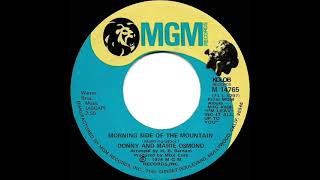 1975 HITS ARCHIVE: Morning Side Of The Mountain - Donny &amp; Marie Osmond (mono 45--#1 A/C)