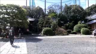 preview picture of video '春日井市の退休寺を散策　Exploring the Taikyuji temple of Kasugai'