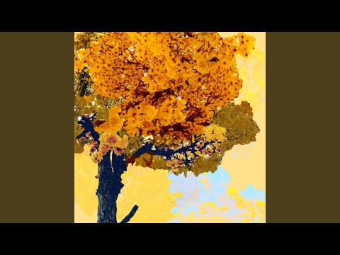 Amarelo Do Ipê - Marina Sampaio