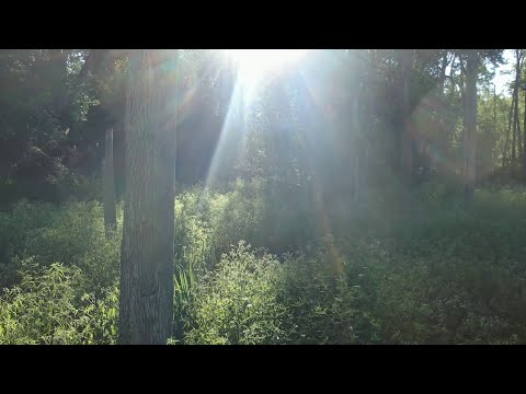 Alicja Lenczewska - Duchowe Świadectwo cz.31+Lektor