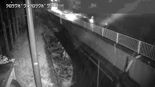 黒沢川映像監視局