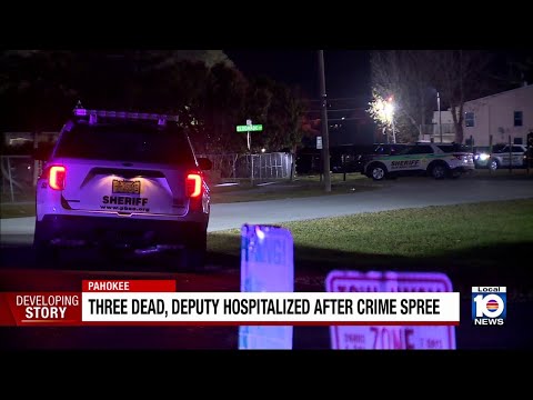 Shooting Palm Beach County