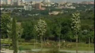 Virginia Moratiel en Telemadrid