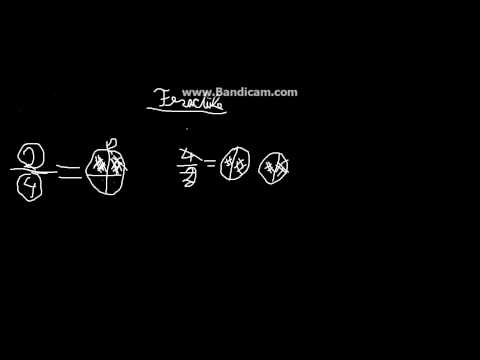 Lectia,,Fractiile 1/2,,explicat in romana