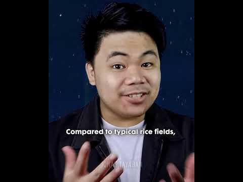 Esta fazenda de 2.000 anos ainda produz arroz #shorts