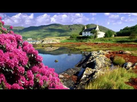 Ceallach The King Of The Fairies