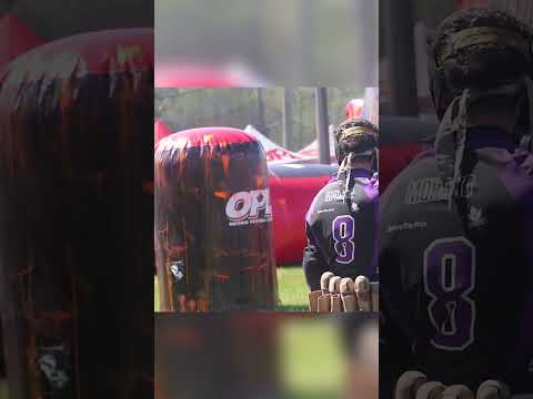 Kill the snake #paintball