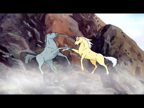 Thowra vs The Brolga @mirgulbaltabaeva1347