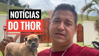 COMO ESTÁ O THOR? MELHOROU? ATUALIZAÇÕES DA AÇÃO!