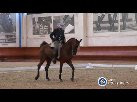 AAEE ITALIA - CAMPIONATO ITALIANO DOMA VAQUERA E COPPA ITALIA - 5° TAPPA - VINCENZO STRIZZI