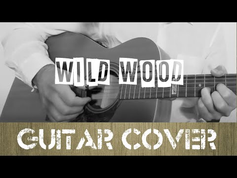 Thumbnail for Wild Wood ( Paul Weller Guitar Cover ) by weller, paul weller