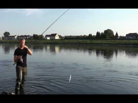 Raubfischangeln Elbe - Christian Grashoff - Unfall