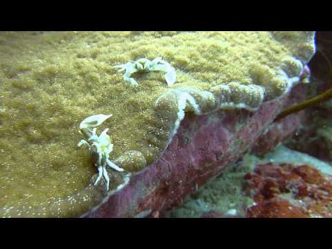 Indonesien 2011 - Lombok, Lomboks Süden,Indonesien