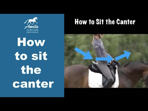 , title : 'Canter Seat: How to Sit the Canter'