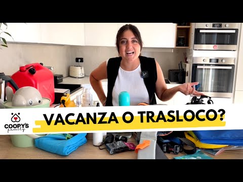 I 1.275 prodotti da portare in vacanza con il cane | La valigia di Coopy