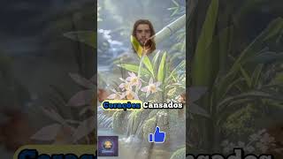 Oração da Noite. #oracaodefe  #oraçãodanoite #oracaodefe #fé #cristão #jesus